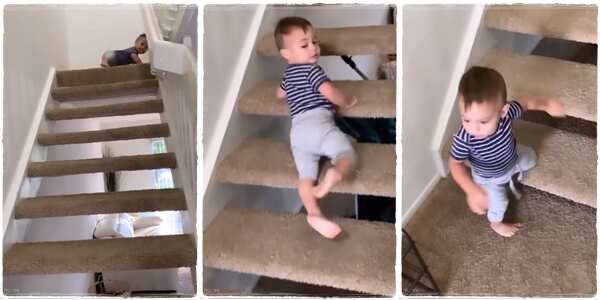 The way the little boy chose to descend the staircase has scared my adults
