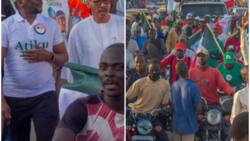 2023 polls: PDP new generation storm Buhari's territory, stage mega march for Atiku