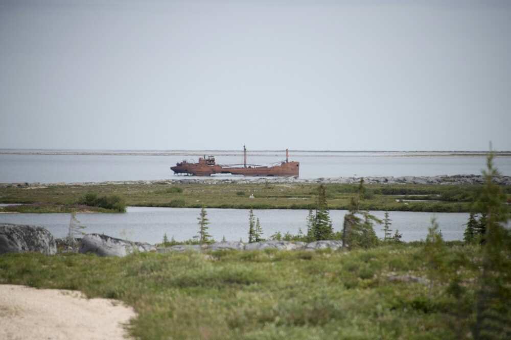 Rusty cargoship wreckage lies in the shallow waters of the Hudson Bay