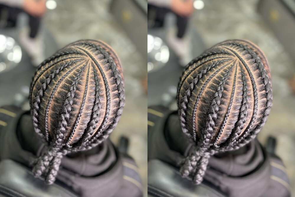 50+ cool braided hairstyles for black women to try in 2024 