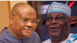 PDP crisis: Atiku makes fresh reconciliation move, sends party grand masters to pacify Wike