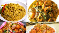 Top 10 tasty Igbo foods, their names, pictures, and ingredients