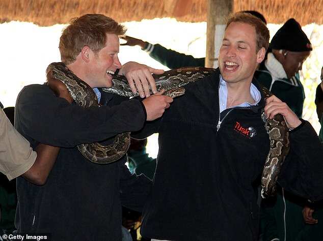 Pictures show how the bond between William and Harry was once special