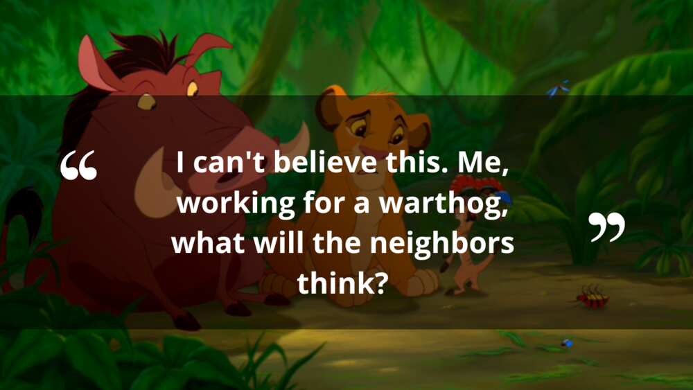 Funny lion king quotes