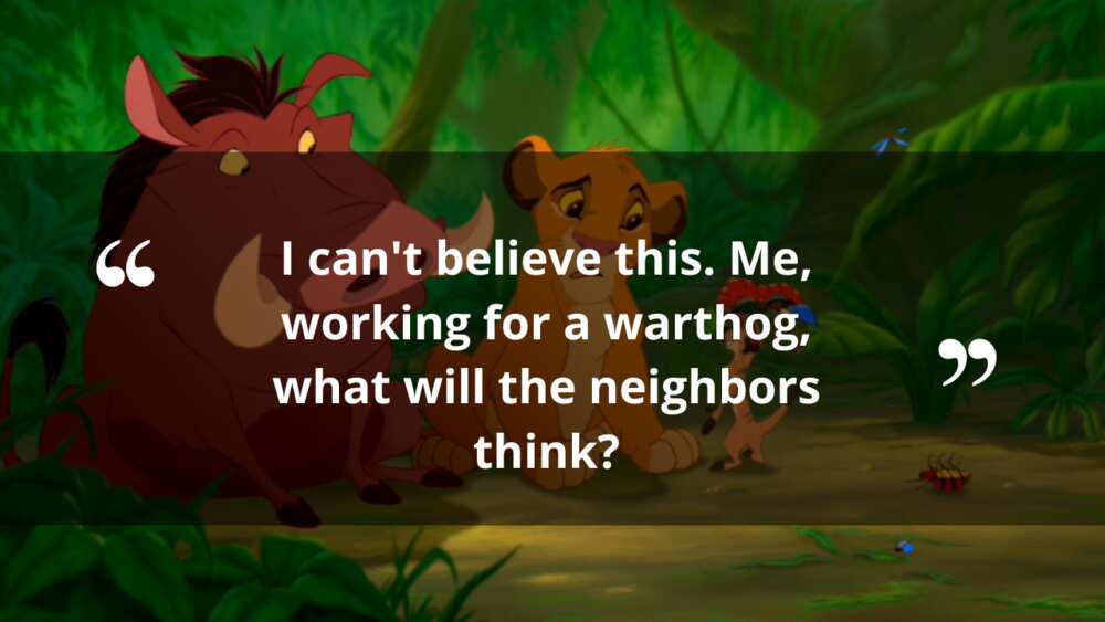 Funny lion king quotes Funny lion king quotes