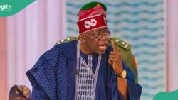 Coup: Tinubu reveals number of months he wants Niger junta to remain in power
