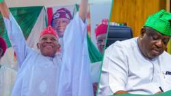 Kano, Plateau Supreme Court judgements: APC struck deal with opposition? Ruling party breaks silence