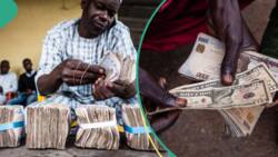 Naira bounces back, gains over N200 against dollar in black market, traders quote new exchange rate