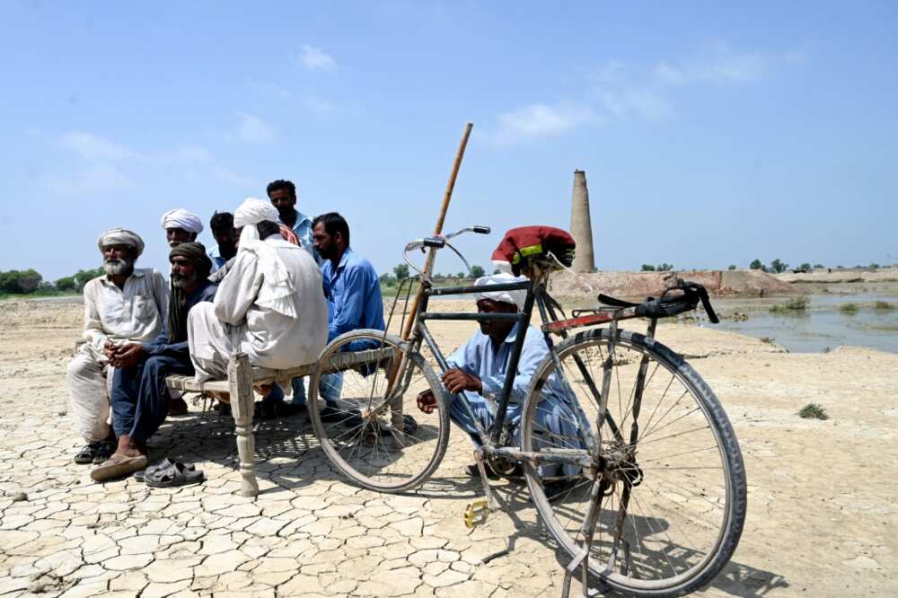 Brick workers from the Aqilpur kiln gather daily in the hope of getting work, but there is no end in sight for their misery