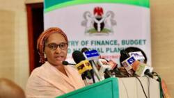 Buhari's minister reveals how much FG will borrow to fund 2022 budget deficit