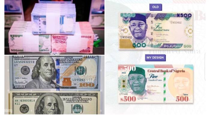 New naira notes: Nigerians show off their own designs against CBN’s