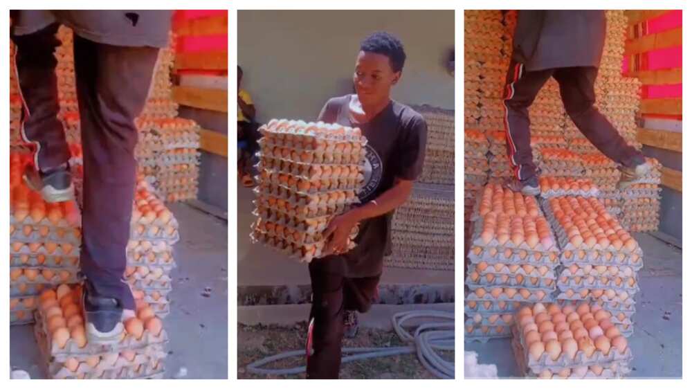 Man walks on eggs in Nigeria