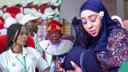 "Be ready to restructure your votes in 2027: Reactions as Tinubu's govt 'suspends' N-Power scheme