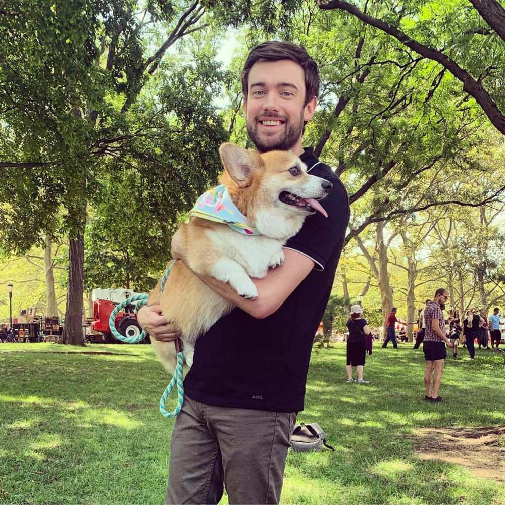 Jack Whitehall height Jack Whitehall height