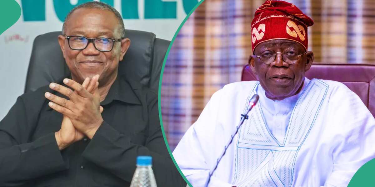 Chicago University battle: What Peter Obi should expect at the Supreme Court, Nigerian lawyer speaks