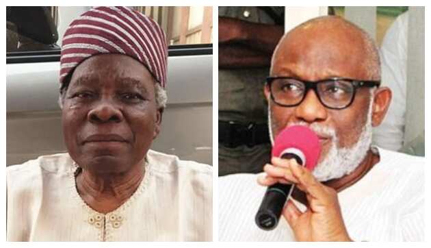 You've Surrendered Ondo Farmlands to Herdsmen, Akintoye Slams Akeredolu