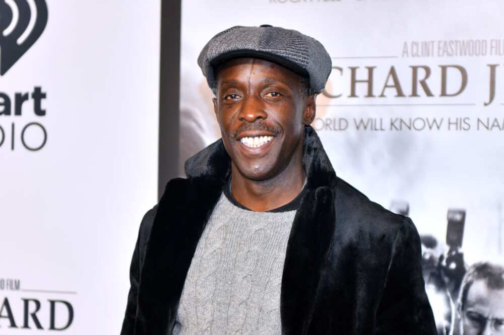 Michael K. Williams TV shows