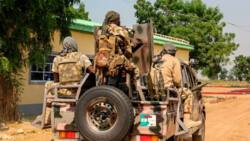 JUST IN: Nigerian troops reclaim Marte local govt from Boko Haram
