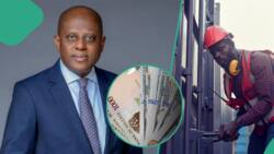 NPA explains why it charges in dollar as EFCC begins arresting those spoiling naira