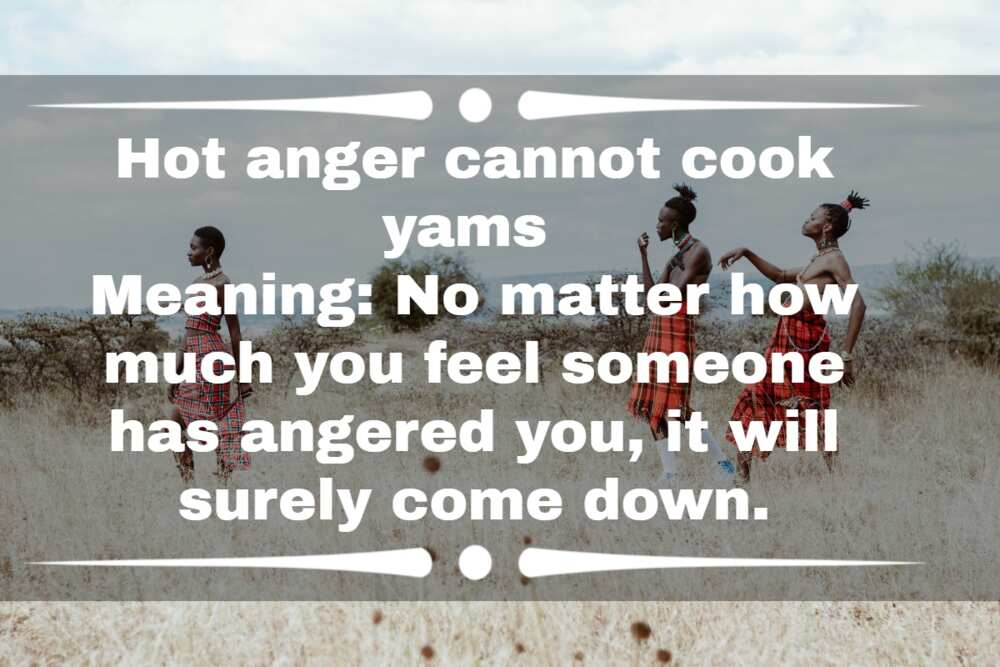 funny African proverbs and meanings