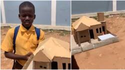 Talented boy who walks to school daily from Lakeside to Adenta builds model-cardboard house, many react to video