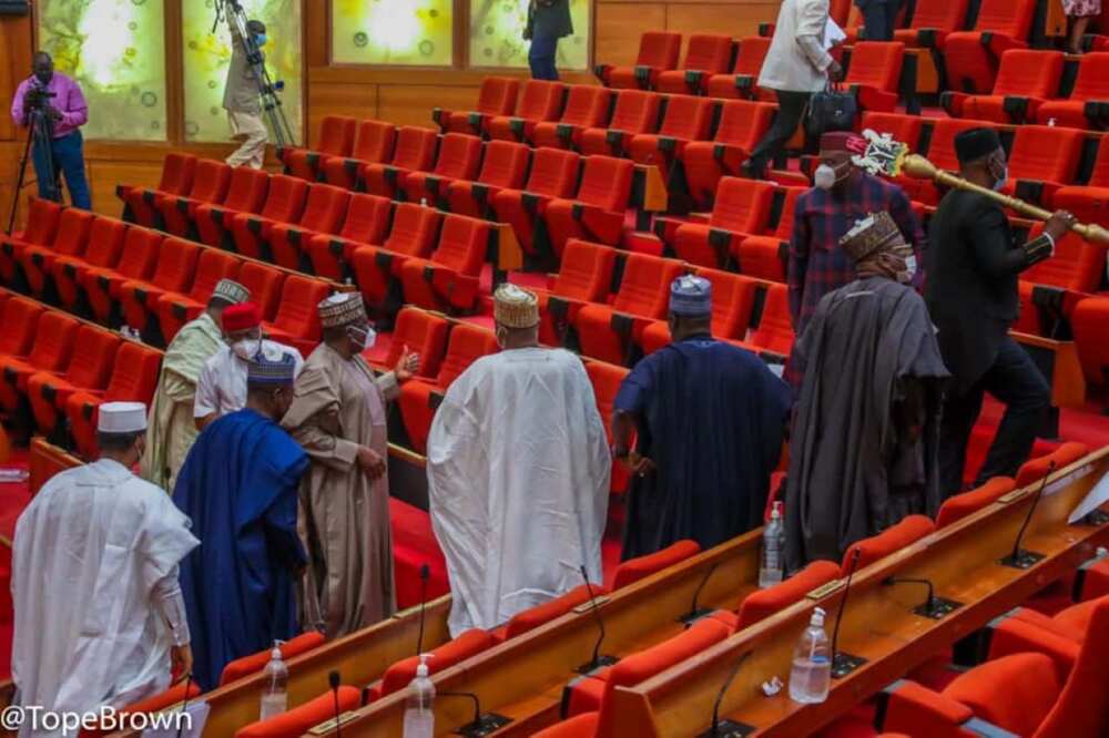 Nigerian Senators
