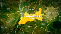 Christmas: Tears flow as 11 persons burnt to death in Anambra auto crash