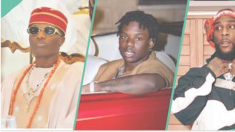 Rema declares he is officially on the same level with Wizkid, Davido, Burna Boy, shades music labels