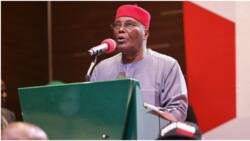 Atiku Abubakar: PDP declares work-free day in top southeast state, gives reason