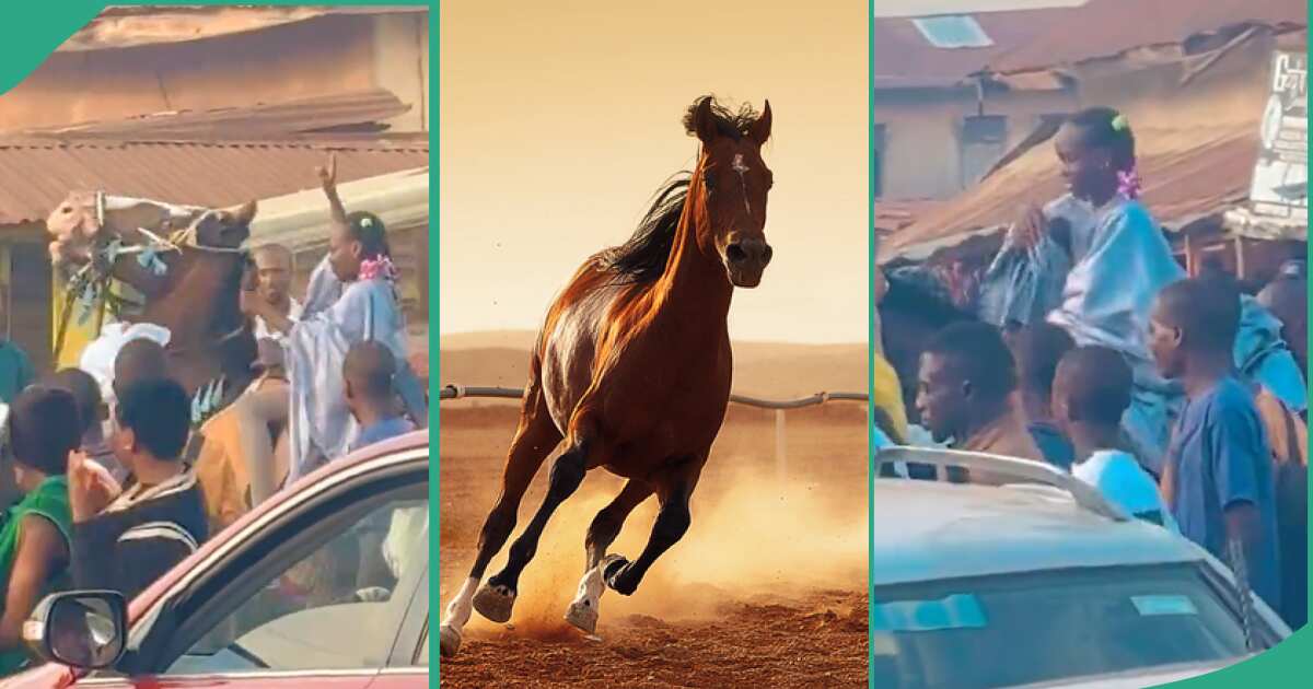 Video: See how this young girl was able to control an aggressive horse during Ojude Oba