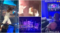 Videos from Davido's Timeless concert as Asake, Mayorkun, others disturb TBS with energetic performances