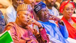BREAKING: Tinubu speaks on preferred candidates for Senate president, House of Reps Speaker