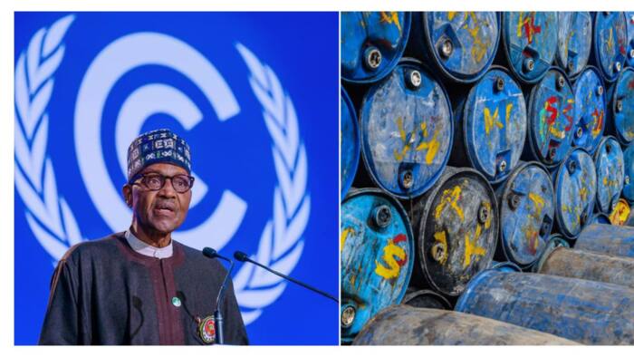 Nigeria prospects 30 billion oil barrels in new drilling in Borno