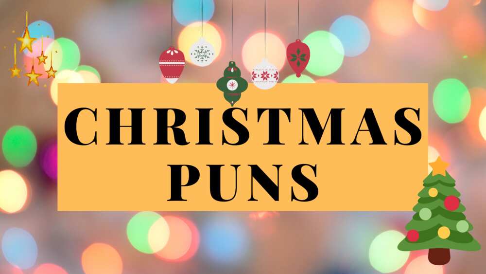 100+ festive Christmas puns to get you into the holiday mood - Legit.ng