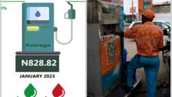 Bauchi leads list of 10 most expensive states to buy Diesel in Nigeria as price jumps by 182% In one year