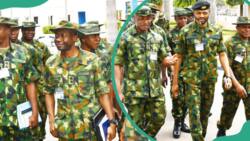Nigerian Army ranks, symbols, and salaries: top facts and details