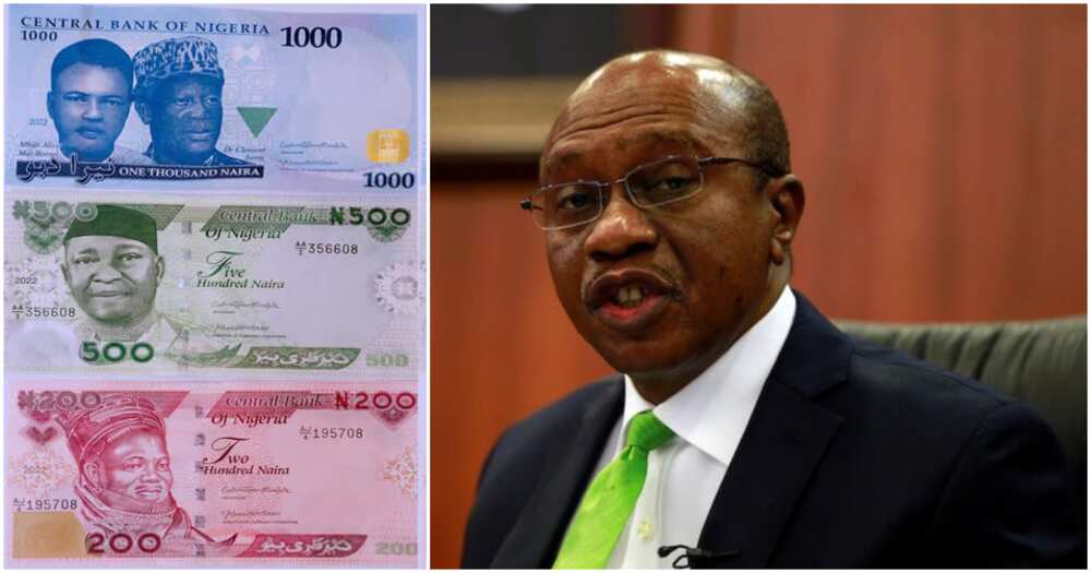 Central Bank of Nigeria, CBN, Godwin Emefiele, New Naira notes, Lawmakers, House of Representatives, National Assembly