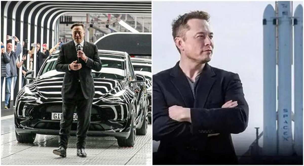 Dancing To Bank Tesla Boss Elon Musk Performs Billionaire Dance Moves Shows Amazing Steps In 0018