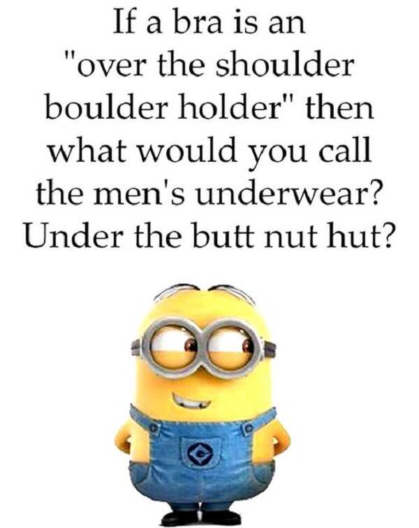 30 Funniest Minion Memes Every Facebook Mom Will Be Obsessed With Legit Ng