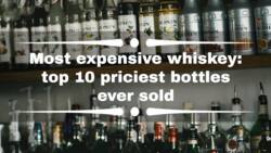 Most expensive whiskey: Top 10 priciest bottles ever sold