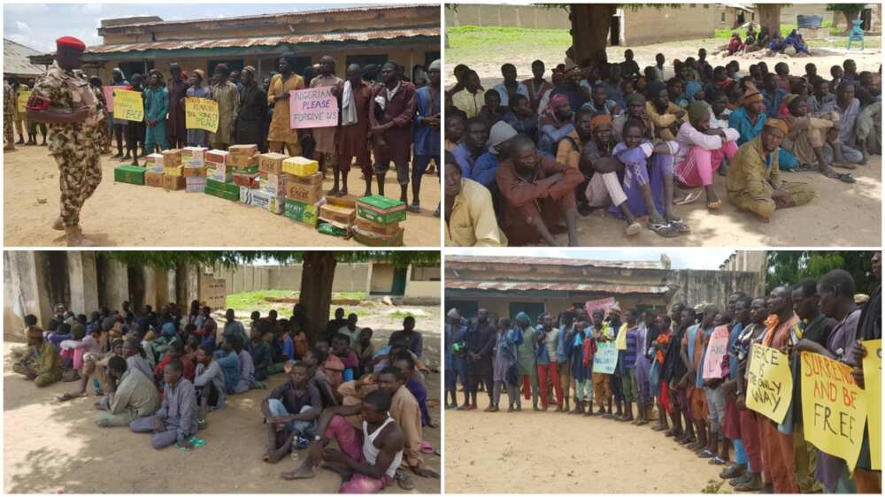 Boko Haram's Chief Bomb Expert, Senior Commanders, over 300 other Terrorists Surrender in Borno