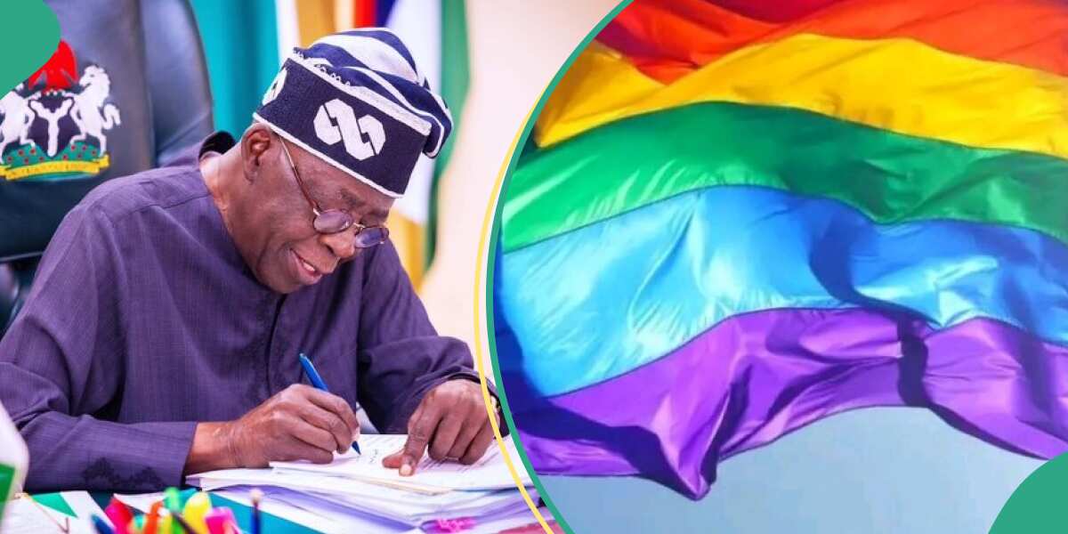 LGBTQ: Tinubu's govt legalised homosexuality in Nigeria by signing Samoa deal?