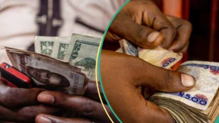 CBN adjusts import duty rate again after naira’s crash against dollar