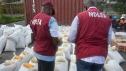 NDLEA arrests 3 for attempting to smuggle meth worth N.5b hidden in custard containers to UK