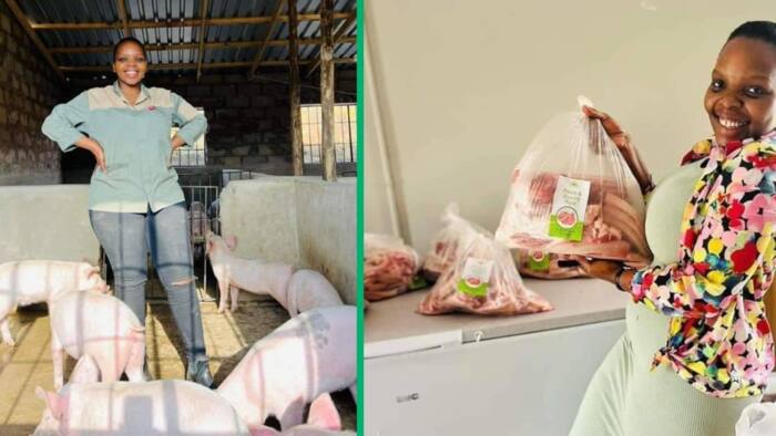 From teacher to farmer: Meet the KZN woman who ditched the classroom to build a thriving piggery