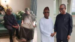 Peter Obi: Sowore lists Obasanjo, Babangida, others as LP's presidential candidate godfathers