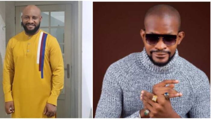 "No dey mislead youths": Uche Maduagwu drags senior colleague Yul Edochie over his relationship takes while being polygamous