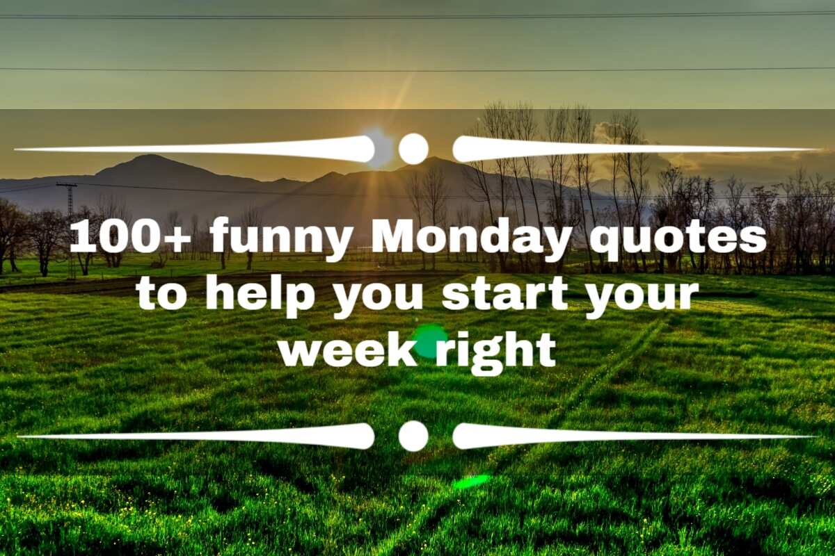 100+ funny Monday quotes to help you start your week right