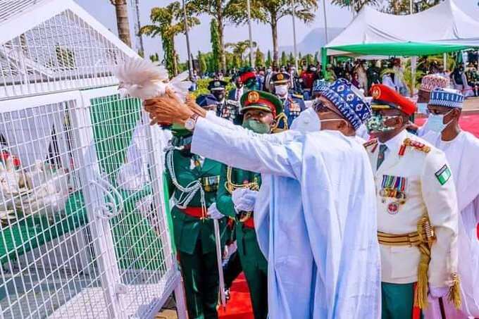 Presidency finally reveals why pigeons released by Buhari didn’t fly