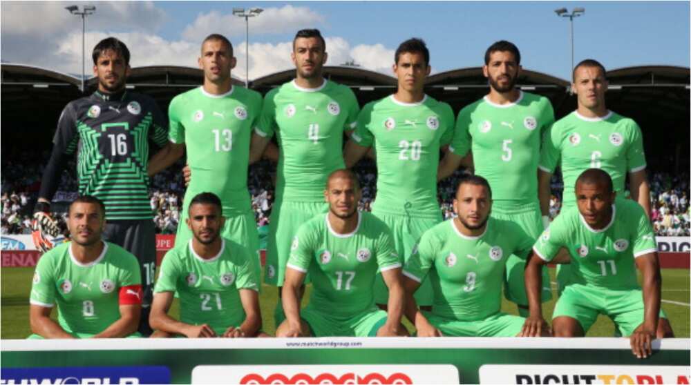 Nigeria vs Algeria: Desert Foxes to miss 6 key players in Super Eagles friendly